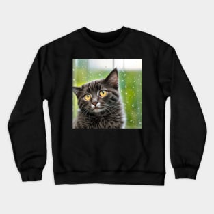 Cute Kittens Beautiful Cats Crewneck Sweatshirt